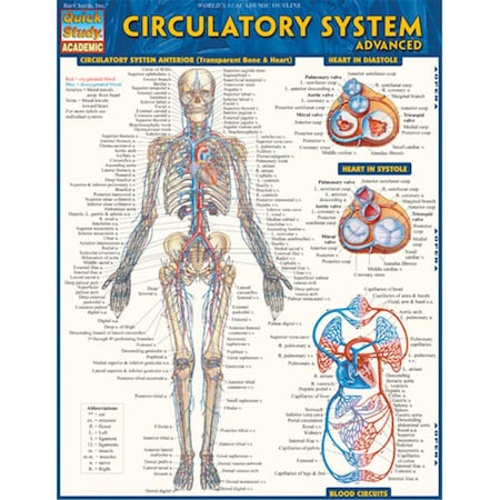 Barcharts Circulatory System Advanced Quickstudy Easel 9781423220305